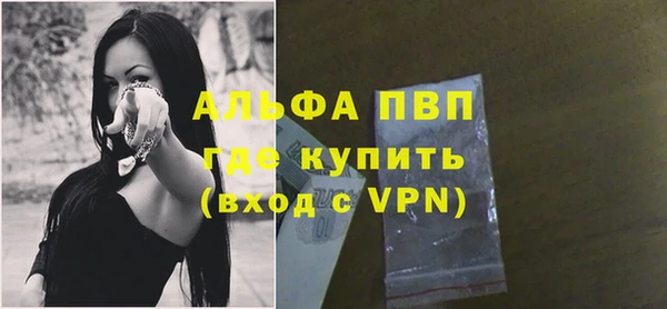 гашик Абаза